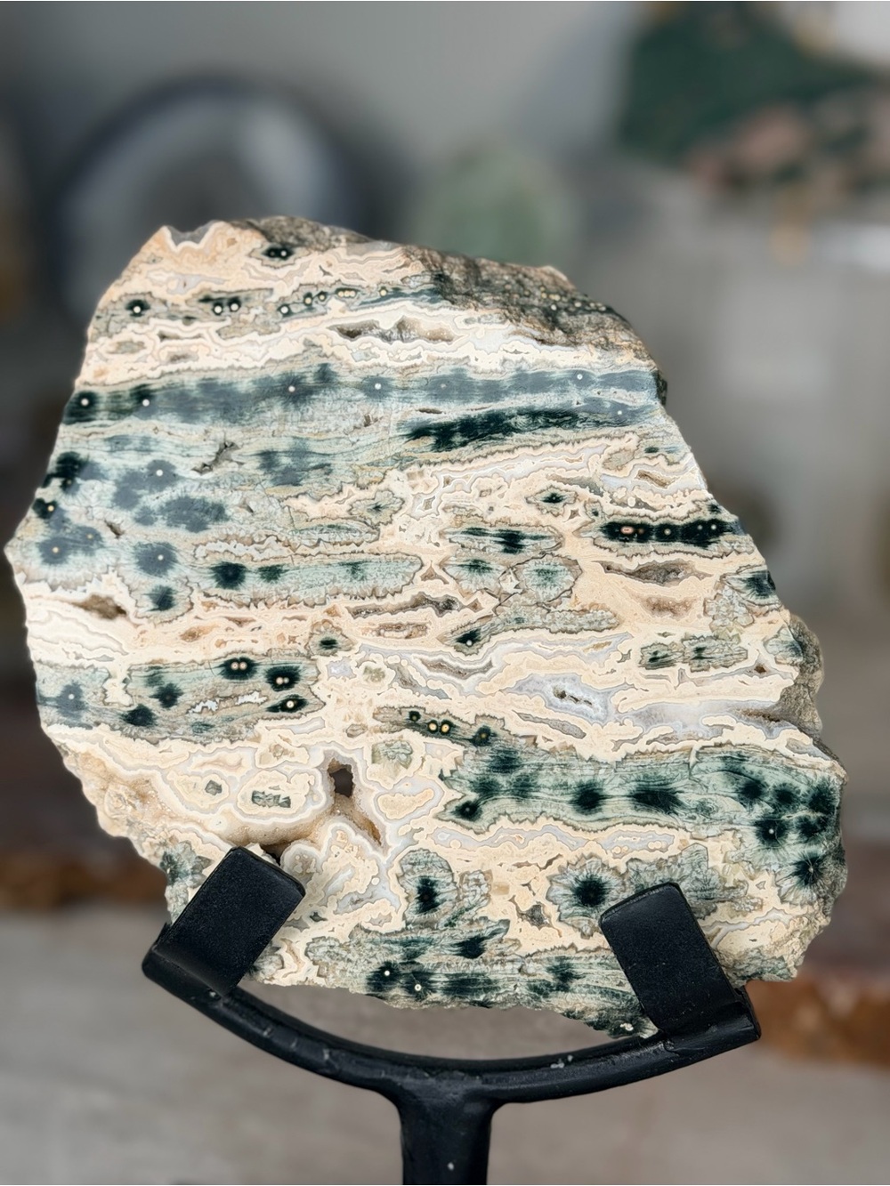 Old Stock Ocean Jasper Collector Slab Madagascar | Rare Orbicular Ocean Jasper